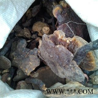 灵芝、野生灵芝 野统、贵州纳雍产图2