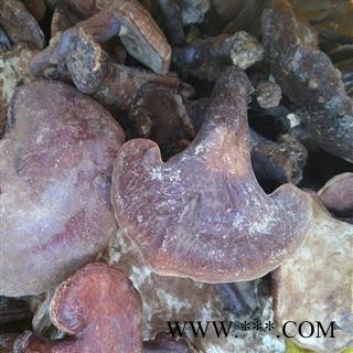 （包邮）特级野生红灵芝图3