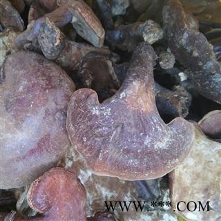 （包邮）特级野生红灵芝图4