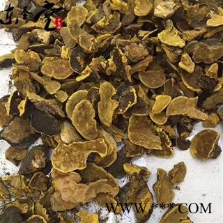 西藏桑黄 桑树桑黄 金边桑黄 产自西藏纯天然野生图3