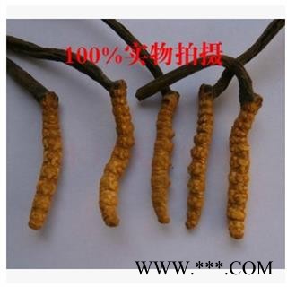 虫草小礼盒,虫草 冬虫夏草可以作为会议营销价位优惠高档实惠图4