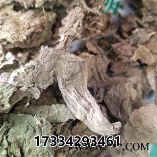 独一味叶  新货 大巴 打布巴 独一味苗图2