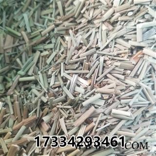 龙须草 灯芯草 秧草 虎须草 水灯芯 灯草图2