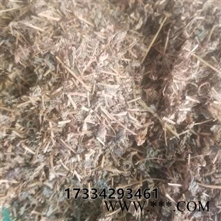 荷莲豆草  荷莲豆菜 月亮草 团叶鹅儿肠 地花生 痞子草 青蛇子 有米菜 螺蚬草 龙鳞草图3