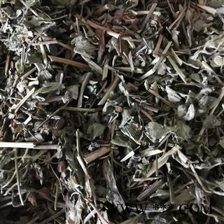 瑞森药材行一点红 叶下红 红背叶 羊蹄草 假芥兰新货产地直销图2