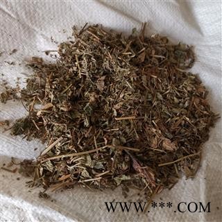 瑞森药材行一点红 叶下红 红背叶 羊蹄草 假芥兰新货产地直销图3