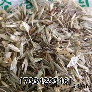 燕麦 大麦中药材 燕麦草  野麦草 乌麦图2
