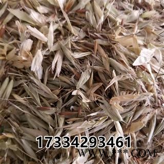 燕麦 大麦中药材 燕麦草  野麦草 乌麦图4
