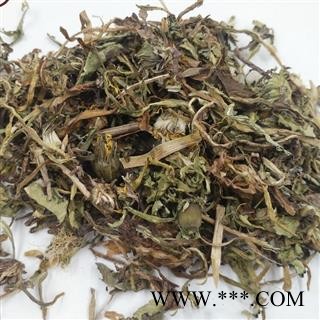 瑞森药材行蒲公英 蒲公英 家种统货 高含量 产地 河南省图3