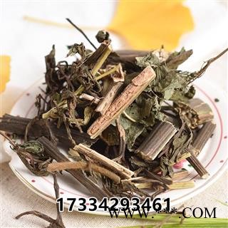 血满草 接骨药大血草接骨丹血管草苛草接骨木图4