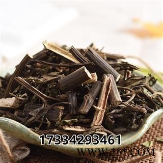 血满草 接骨药大血草接骨丹血管草苛草接骨木图3