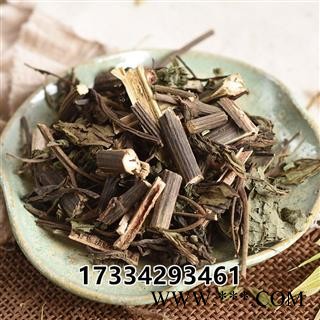 血满草 接骨药大血草接骨丹血管草苛草接骨木图2