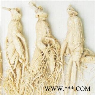 白参 选 35支左右 人参 生晒参 产地 辽宁省 长白山白参 供应各种中药材图4