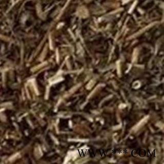 圣草康园一支蒿新疆一支蒿 一支蒿图2