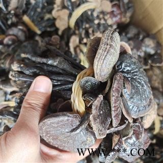 京辉药业 灵芝 竹灵芝一公斤起售 专注品质 灵芝大全图2