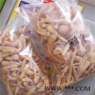 圣草康园鹅参土白芷、广三七、胡萝卜七、南田七、水田七、土当归、土田七图2