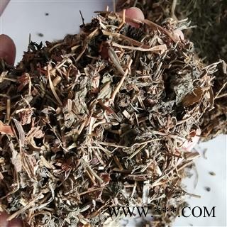 圣草康园鹅肠草 繁缕草 狗蚤菜 鹅馄饨 圆酸菜 野墨菜 和尚菜 乌云草图3