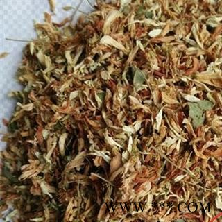 圣草康园 金雀花 紫雀花 阳雀花 生血草 一颗血 锦鸡儿 黄棘图1