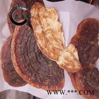 满99元全场包邮-野生灵芝海南野生无柄赤芝 统货产地直销灵芝图4