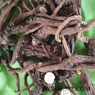 圣草康园蒲公英根 蒲公英根  蒲公英根 产地甘肃图2