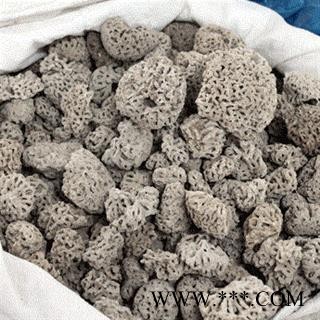 圣草康园 海浮石 海浮花 海浮石花 大海浮石花 海藻 海藻石手工挑选无杂 促销图3