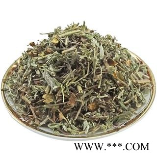 翻白草 番白草可搭配地骨皮图4