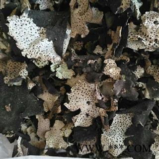 九盛堂 石耳 石菇岩耳岩菇脐衣石壁花图2