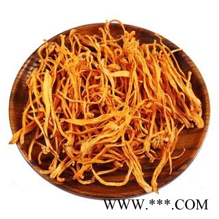 北虫草 金虫草 虫草花 蛹虫草 孢子头图3