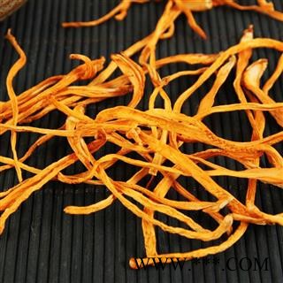 北虫草 金虫草 虫草花 蛹虫草 孢子头图2