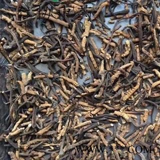 诺源药材行中药材正宗西藏那曲冬虫夏草 断草图2