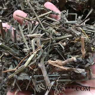 中药材 中草药材一点红 羊蹄草 红头草 叶下红 山羊草图4