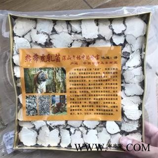 新辉药业优质灵芝 虎乳灵芝 虎乳菌图2