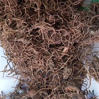 诺源药材行中药材四块瓦  四叶细辛 四叶对  万根丹 灯笼花  分叶芹图2