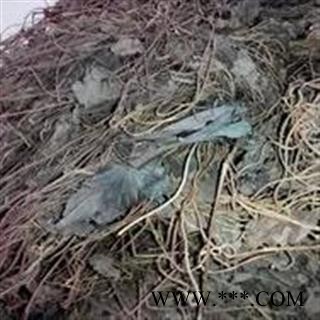 诺源药材行中药材通城虎 五虎通城图2