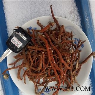 丹参 选条 产地 河南省平顶山市汝州市图4