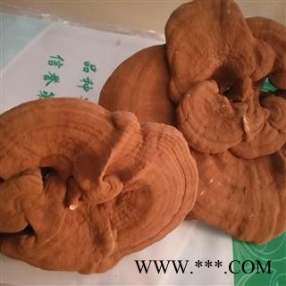 安祁名药正品灵芝 长白山孢子粉灵芝图2