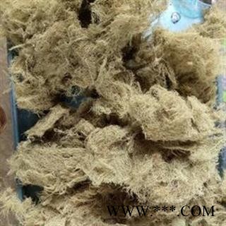 新辉药业中药材松萝 龙须草 松上寄生  树胡子图2