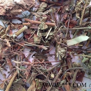 新辉药业优质中草药 仙鹤草 龙牙草 毛脚茵图3