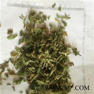 新辉药业伸筋草 优质新货 正品无硫图2