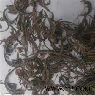 新辉药业卷柏  正品图2