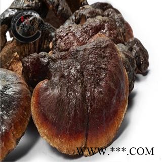 灵芝 野生有柄赤芝 海南产 野生灵芝 药典标准 地道良药馆1000克直销 品质齐全 一站购齐图4