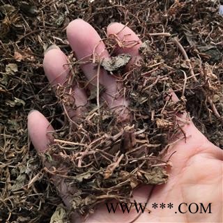 新辉药业优质积雪草  雷公根 落得打另有黄蜀葵花图2