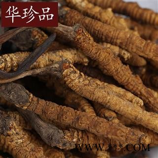 精选冬虫夏草 4000条 产地 西藏自治区图3