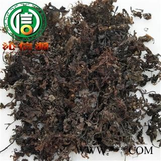 【满包邮】海藻少盐统货散装山东产地直供海根菜沁信源中药批发图4
