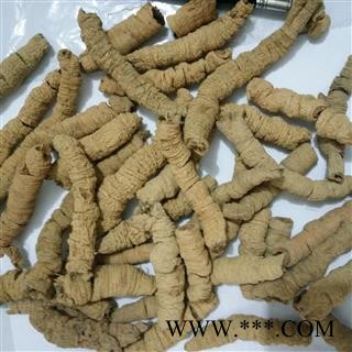 巴戟天 手选货  纯大个  产地 广东省肇庆市德庆县图4