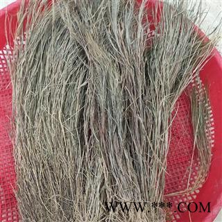 九盛堂中药材 金丝草 笔仔草 竹篙草 猫毛草 中药材图2