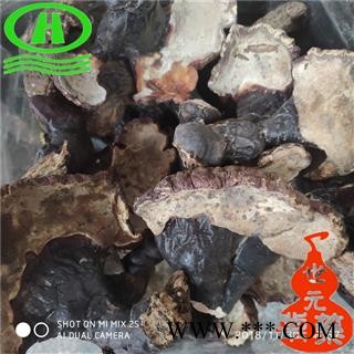 世元药业 野灵芝 纯野 白底香味浓 无污染 品相貌丑陋 谨慎购买【灵芝大全】图2