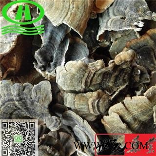 世元药业 云芝 千层蘑 彩纹云芝 黄云芝 灰芝 瓦菌  树蛇 木灵芝图2