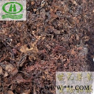 世元药业 海藻 正品 水洗大叶藻 大蒿子 海根菜 海草 天然海藻 无污染 优质图2