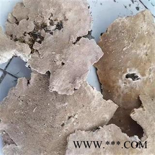 安祁名药中药材灵芝 白耙齿菌 菌灵芝图3